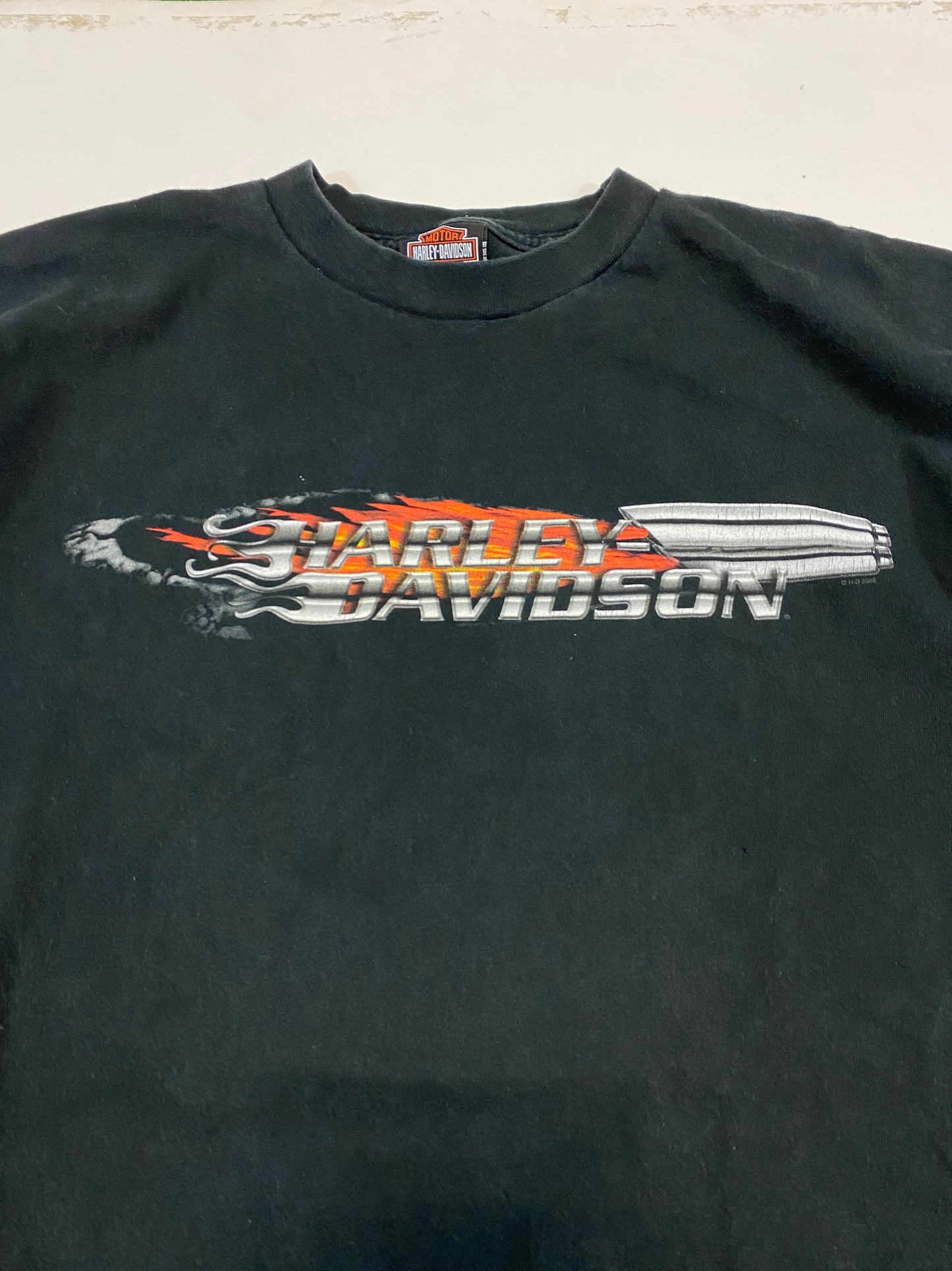 2002 Harley Davidson Naples FL T-Shirt XL