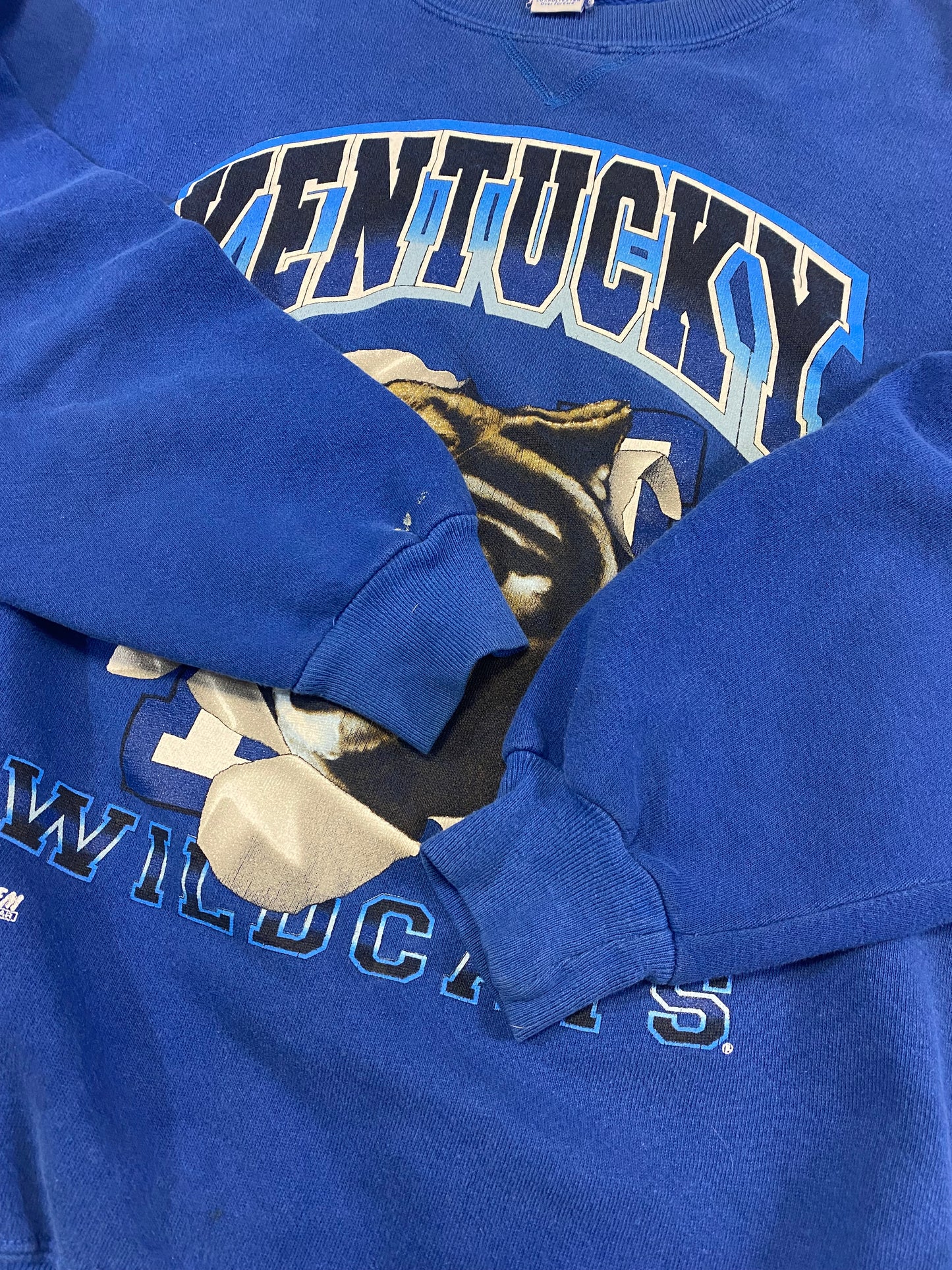 1990’s Kentucky Wildcats Salem Sportswear Sweatshirt L